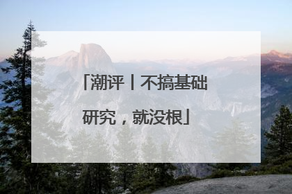 潮评丨不搞基础研究，就没根