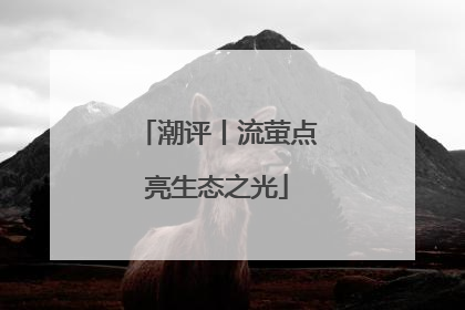 潮评丨流萤点亮生态之光