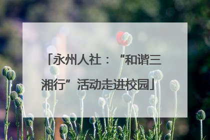 永州人社：“和谐三湘行”活动走进校园