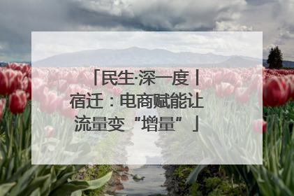 民生·深一度丨宿迁：电商赋能让流量变“增量”