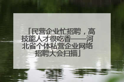 民营企业忙招聘，高技能人才很吃香——河北省个体私营企业网络招聘大会扫描