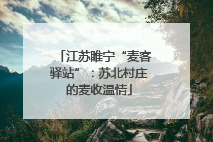 江苏睢宁“麦客驿站”：苏北村庄的麦收温情