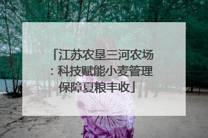 江苏农垦三河农场：科技赋能小麦管理保障夏粮丰收