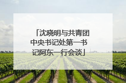 沈晓明与共青团中央书记处第一书记阿东一行会谈