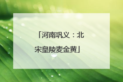 河南巩义：北宋皇陵麦金黄