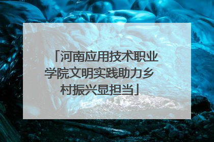 河南应用技术职业学院文明实践助力乡村振兴显担当