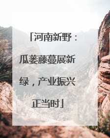 河南新野：瓜蒌藤蔓展新绿，产业振兴正当时