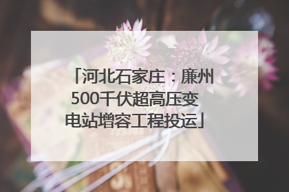 河北石家庄：廉州500千伏超高压变电站增容工程投运