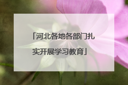 河北各地各部门扎实开展学习教育