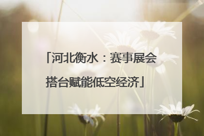 河北衡水：赛事展会搭台赋能低空经济