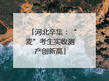 河北辛集：“麦”考生实收测产创新高