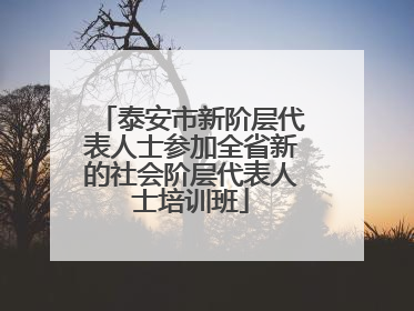 泰安市新阶层代表人士参加全省新的社会阶层代表人士培训班