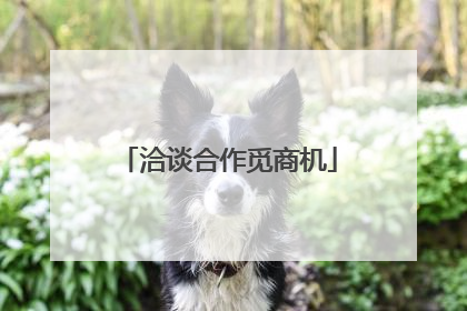 洽谈合作觅商机