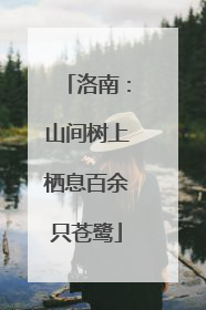 洛南：山间树上栖息百余只苍鹭