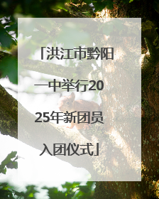 洪江市黔阳一中举行2025年新团员入团仪式