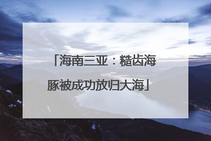 海南三亚：糙齿海豚被成功放归大海