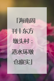 海南周刊丨东方墩头村：港水环墩仓廪实