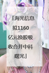 海光信息拟1160亿元换股吸收合并中科曙光