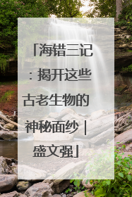 海错三记：揭开这些古老生物的神秘面纱｜盛文强