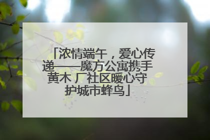 浓情端午，爱心传递——魔方公寓携手黄木 厂社区暖心守护城市蜂鸟