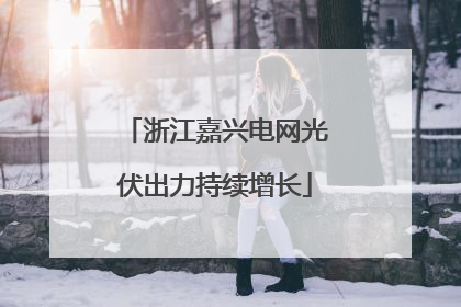 浙江嘉兴电网光伏出力持续增长