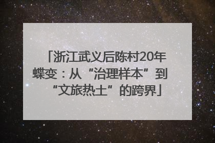 浙江武义后陈村20年蝶变：从“治理样本”到“文旅热土”的跨界