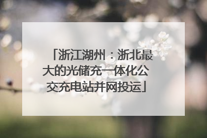 浙江湖州：浙北最大的光储充一体化公交充电站并网投运