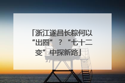 浙江遂昌长粽何以“出圈”？“七十二变”中探新路