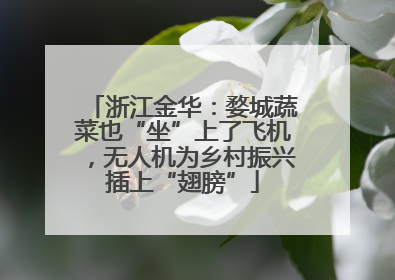 浙江金华：婺城蔬菜也“坐”上了飞机，无人机为乡村振兴插上“翅膀”