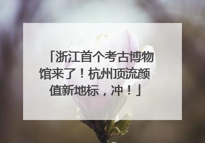 浙江首个考古博物馆来了！杭州顶流颜值新地标，冲！