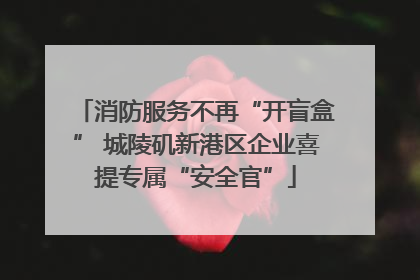 消防服务不再“开盲盒” 城陵矶新港区企业喜提专属“安全官”