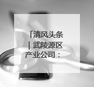 清风头条｜武陵源区产业公司：多措并举推进警示教育走深走实