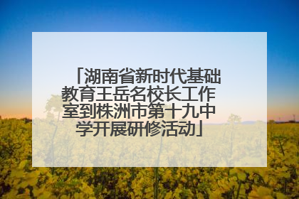 湖南省新时代基础教育王岳名校长工作室到株洲市第十九中学开展研修活动