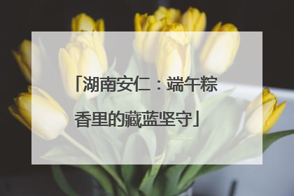 湖南安仁：端午粽香里的藏蓝坚守