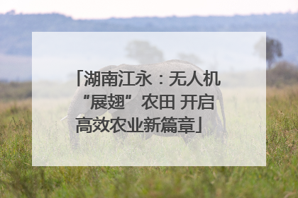 湖南江永：无人机“展翅”农田 开启高效农业新篇章