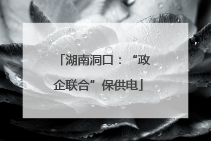 湖南洞口：“政企联合”保供电
