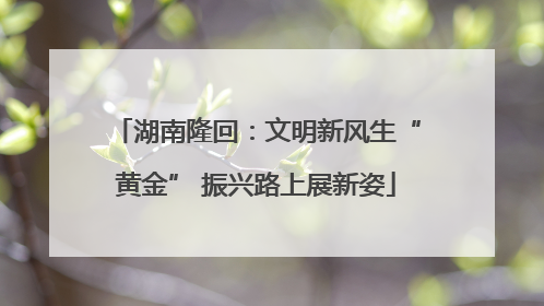 湖南隆回：文明新风生“黄金” 振兴路上展新姿