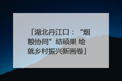 湖北丹江口：“烟粮协同”结硕果 绘就乡村振兴新画卷