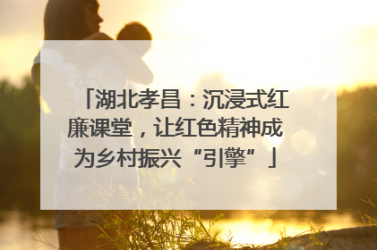 湖北孝昌：沉浸式红廉课堂，让红色精神成为乡村振兴“引擎”