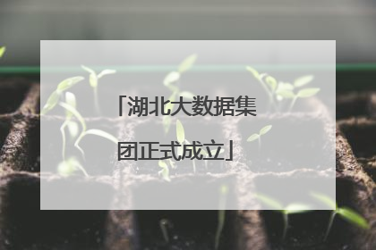 湖北大数据集团正式成立