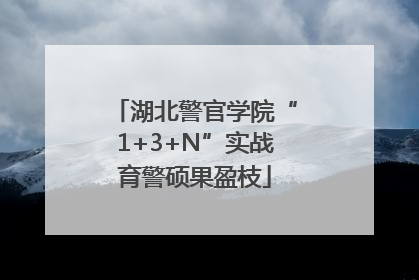 湖北警官学院“1+3+N”实战育警硕果盈枝