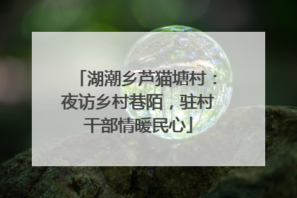 湖潮乡芦猫塘村：夜访乡村巷陌，驻村干部情暖民心