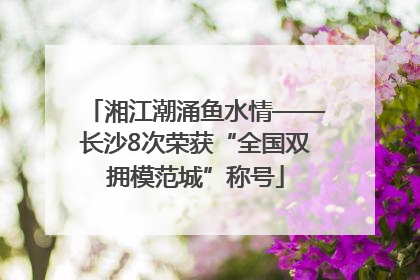湘江潮涌鱼水情——长沙8次荣获“全国双拥模范城”称号