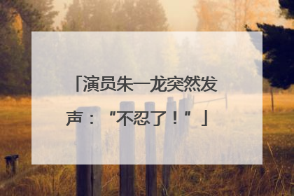 演员朱一龙突然发声：“不忍了！”