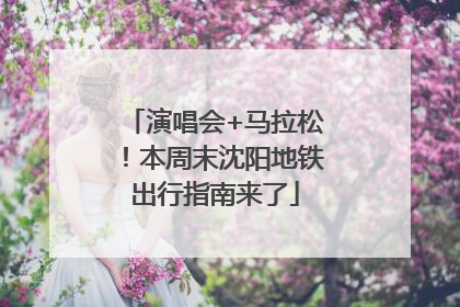 演唱会+马拉松！本周末沈阳地铁出行指南来了