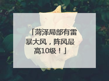菏泽局部有雷暴大风，阵风最高10级！