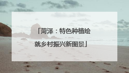 菏泽：特色种植绘就乡村振兴新图景