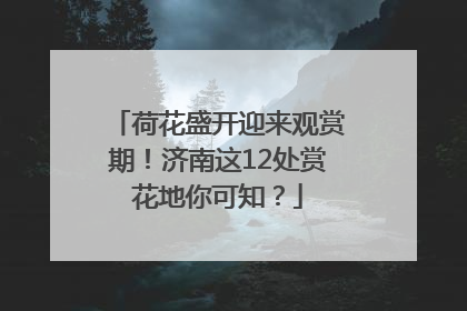 荷花盛开迎来观赏期！济南这12处赏花地你可知？