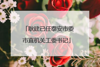 耿建已任泰安市委市直机关工委书记