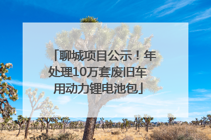 聊城项目公示！年处理10万套废旧车用动力锂电池包